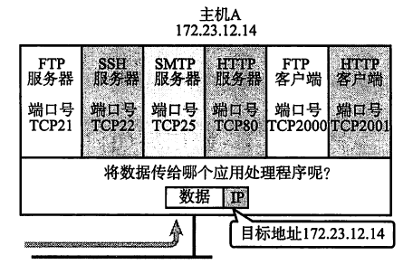 网络